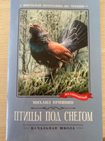 Птицы под снегом. Рассказы | Пришвин Михаил Михайлович #1, Наталья С.