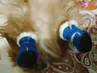 Ботиночки для собак мелких и средних пород Arnydog "Угги", синие, M (4,5*4,0 см). #3, Екатерина Я.