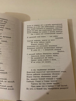 Бородино. Стихотворения и поэмы | Лермонтов Михаил Юрьевич #8, Красников Максим