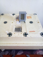 Терморегулятор цифровой для инкубатора Золушка-2020, питание 220 и 12В #3, Игорь С.