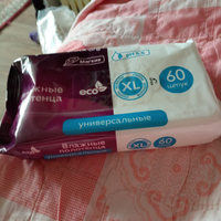 Влажные полотенца XL с Алоэ вера ECO 250*195мм, 4 упаковки по 60 шт.+подарок, гипоаллергенные, антибактериальные, без спирта #5, Екатерина А.
