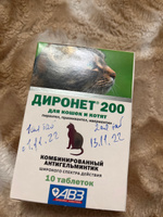 Диронет 200 АВЗ Антигельминтный препарат для кошек и котят, 10 таб #12, Альфия Б.