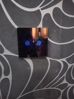 Умный сенсорный WiFi выключатель, черный, умный дом, работает с Яндекс Алисой, голосовое управление, двухклавишный, с конденсатором #51, Дмитрий Р.
