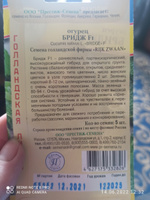 Огурец "БРИДЖ" F1 (5 шт семян) раннеспелый гибрид #67, Татьяна Р.