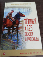 Теплый хлеб. Сказки и рассказы | Паустовский Константин Георгиевич #2, Юлия Н.