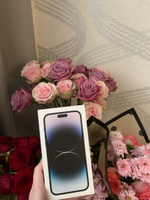 Apple Смартфон iPhone 14 Pro Max Dual SIM 6/256 ГБ, темно-серый #5, Лилия Д.