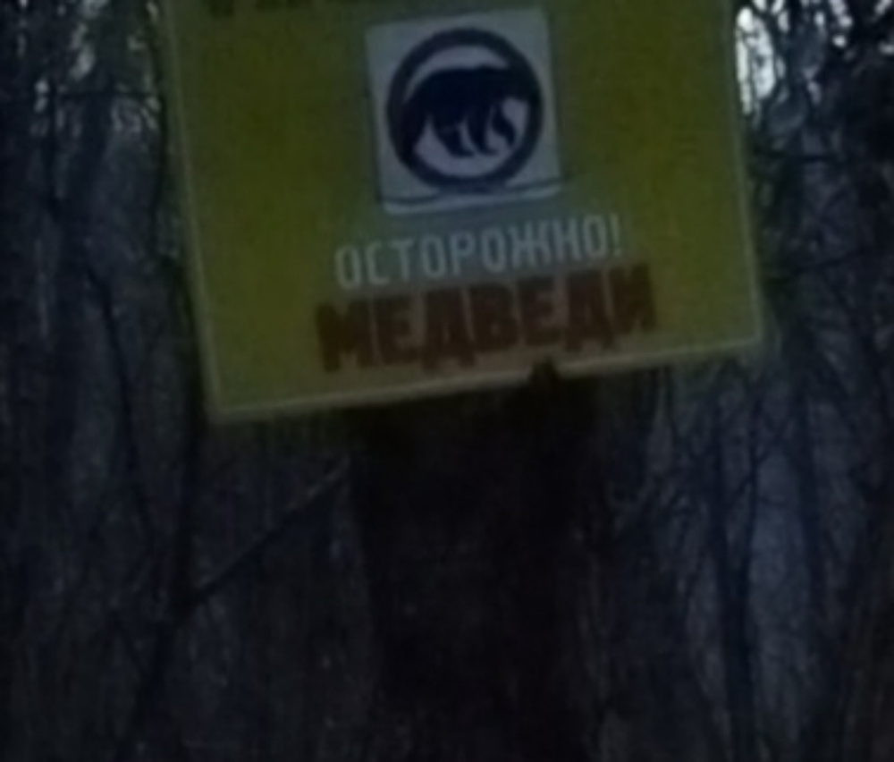 Пусковое устройство ПУ-26(М) 26мм купить на OZON по низкой цене (896900013)