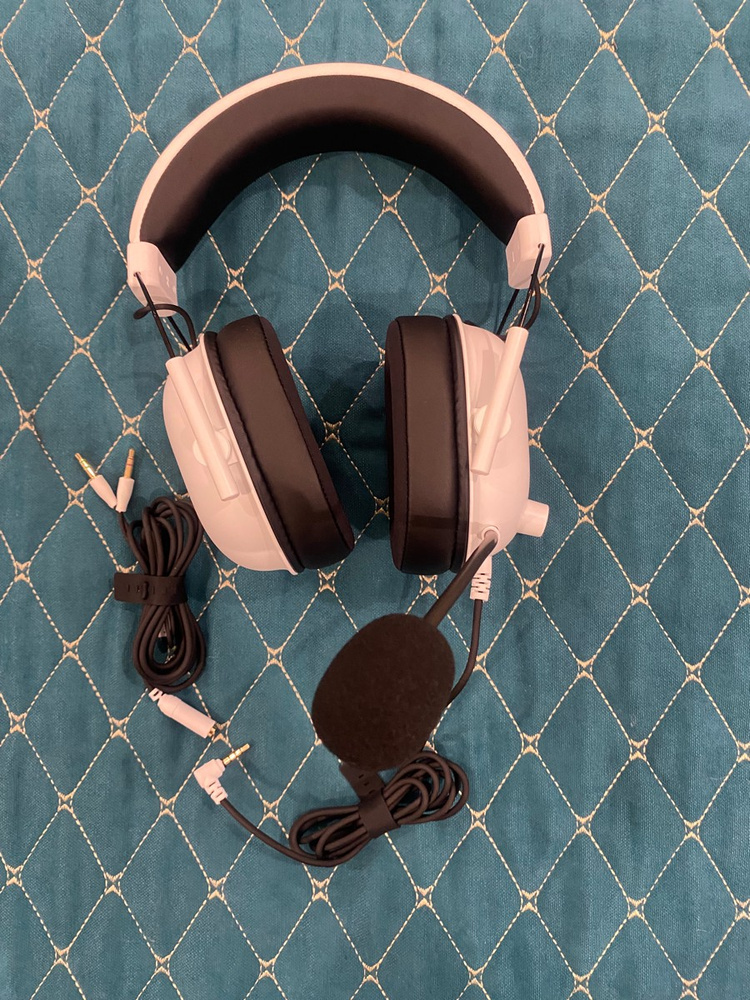 Наушники Накладные Razer Компьютерная гарнитура Blackshark V2 X ...