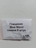 Семена Глициния Блю Мун морозостойкая (Wisteria Blue Moon), 5 штук #27, Кирилл С.