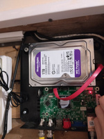 Western Digital 1 ТБ Внутренний жесткий диск (WD10PURZ)  #28, Наталья Б.