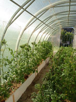 Сетка затеняющая(фасадная) 55% зеленая для теплиц, для навеса, для растений, от солнца, для огорода(размер 6 х 7м) #2, Ольга Ф.