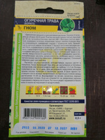 Семена Огуречная Трава Гном (0,5 г) - Семена Алтая #42, Наталья К.