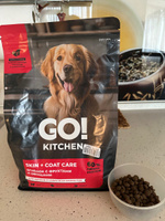 GO KITCHEN Dog Hair & Skin Care сухой корм холистик для взрослых собак и щенков, ягненок, фрукты, овощи 1,59 кг / Гоу Китчен Holistic #27, Анастасия Ч.