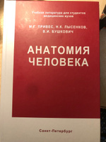 Анатомия человека. Привес М.Г. | Привес Михаил Григорьевич, Лысенков Николай Константинович #1, Вероника К.