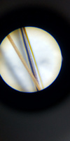 Микроскоп карманный Carson MicroBrite Plus, 60-120x #5, Юлия К.