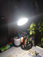 Лампа настольная светодиодная для школьника светильник аккумуляторный для дома освещение в детскую ночник #7, Елена И.