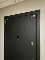 Номер на дверь 241, табличка на дверь для офиса, квартиры, кабинета, аудитории, склада, черная 120х70 мм, Айдентика Технолоджи #1, Артем С.Н.