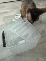 Система хранения вещей RoxBox 3.5 л, ящик для хранения, коробка для вещей с крышкой , прозрачный, 13.5x17x21 см, 1 шт #118, Анастасия Л.
