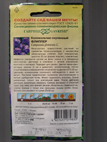 Семена КОЛОКОЛЬЧИК Многолетний ФЛИППЕР скученный (0,01 грамм) Гавриш #111, Светлана С.