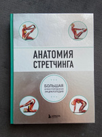 Анатомия стретчинга. Большая иллюстрированная энциклопедия | Уокер Брэд #5, Регина Л.