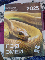 Дизайн Партнер. Календарь 2025 настенный перекидной с символом года,змея. Размер 29,7 x 42 см #25, Рямиля Р.