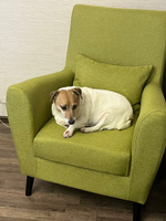 Кресло мягкое Грэйс D-7 (зеленый) на высоких ножках с подлокотниками в гостиную, офис, зону ожидания, салон красоты. #1, Наталья А.