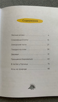 Книга для первого чтения по слогам для детей. Обучение чтению. Серия "Три кота. Читаю по слогам". Одна книжка / Набор из 4 книжек | Коллектив авторов (МОЗАИКА-СИНТЕЗ) #4, Нерушай Надежда Владимировна