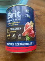 Влажный корм BRIT для любых собак Premium by Nature Говядина и сердце (850гр х 6шт) #37, Мария Л.