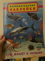 Комплект книг с познавательными наклейками #7, Светлана О.