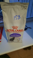 Royal Canin Sterilised Сухой корм для стерилизованных кошек 2 кг #18, Елена Г.