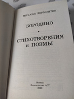 Бородино. Стихотворения и поэмы | Лермонтов Михаил Юрьевич #2, Елена Р.