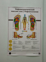 Плакат Рефлексологический массаж стоп.  Для кабинета педикюра и подолога  в формате А1 (84 х 60 см) #8, Арам С.