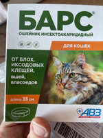 Ошейник от блох и клещей для кошек АВЗ "БАРС" 35см #1, Larisa Z.