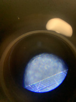 Микроскоп карманный Carson MicroBrite Plus, 60-120x #1, Павел С.