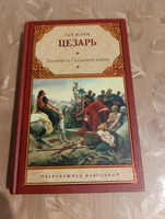 Записки о Галльской войне | Цезарь Гай Юлий #5, Марина П.