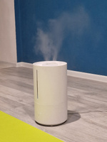 Умный увлажнитель воздуха с функцией ионизации Xiaomi Mijia Smart Sterilization Humidifier 2 (MJJSQ05DY), CN-версия с регионом Китай #6, Ира В.