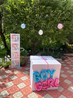 Фольгированные шары "Boy or Girl" МОСШАР, Гендер пати, Набор шаров фольгированных #35, Анна М