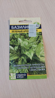 Семена Базилик Зеленый Ароматный (0,3 гр) - Семена Алтая #48, Виталий К.