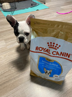 Royal Canin Корм сухой для щенков породы Французский Бульдог до 12 месяцев, French Bulldog Puppy, 3 кг #1, Гульнара С.