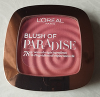 L'OREAL PARIS Румяна для лица Paradise, 36.5 г, 03, Melon Dollar Baby #18, Алевтина С.