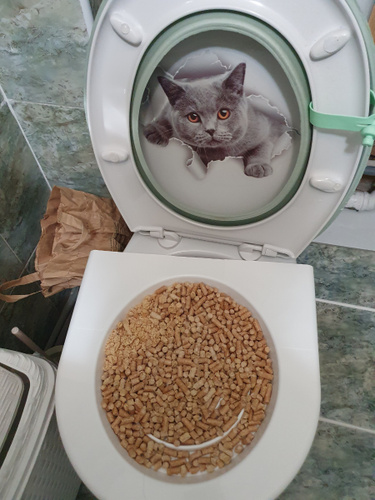 Система приучения кошек к унитазу, лоток на унитаз для котов - купить с ...