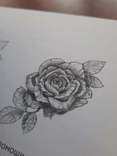 Скетчбук по ботанической иллюстрации. Простые пошаговые уроки по ...