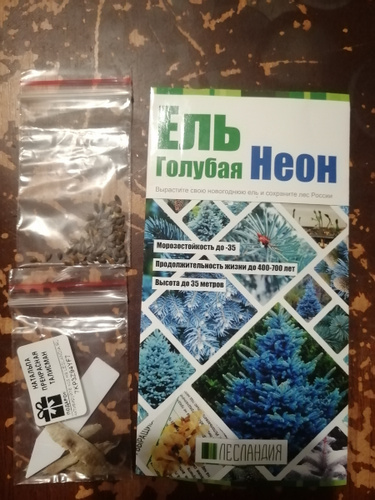 Ель Лесландия Ель Голубая Неон, 50 шт - купить по выгодным ценам в ...