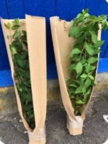 Гофролист Howard, 2500 х 50 - купить по выгодной цене в интернет ...