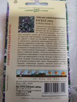 Семена ЛОБЕЛИЯ КАСКАД СМЕСЬ (0,01 грамм) Гавриш - лобелия ампельная #38, Елена Н.