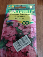 Семена ГВОЗДИКА бородатая (турецкая) РОЗИТА (0,1 грамм) Гавриш #29, Неля У.