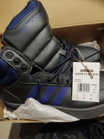 Кеды adidas Sportswear Hoops 3.0 Mid Wtr #58, Олег Б.