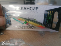 Балансир рыболовный ESOX RAPTOR 70мм, 22гр #97, Сергей С.