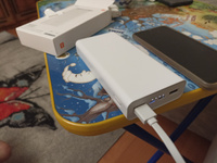 Набор: повербанк Xiaomi 20000 mAh+дополнительный кабель USB-Lightning. #37, Feda s.