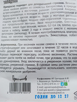 Туя Западная, 1 пакет, семена 0,1 гр, ЧК #18, Потеряева Т.